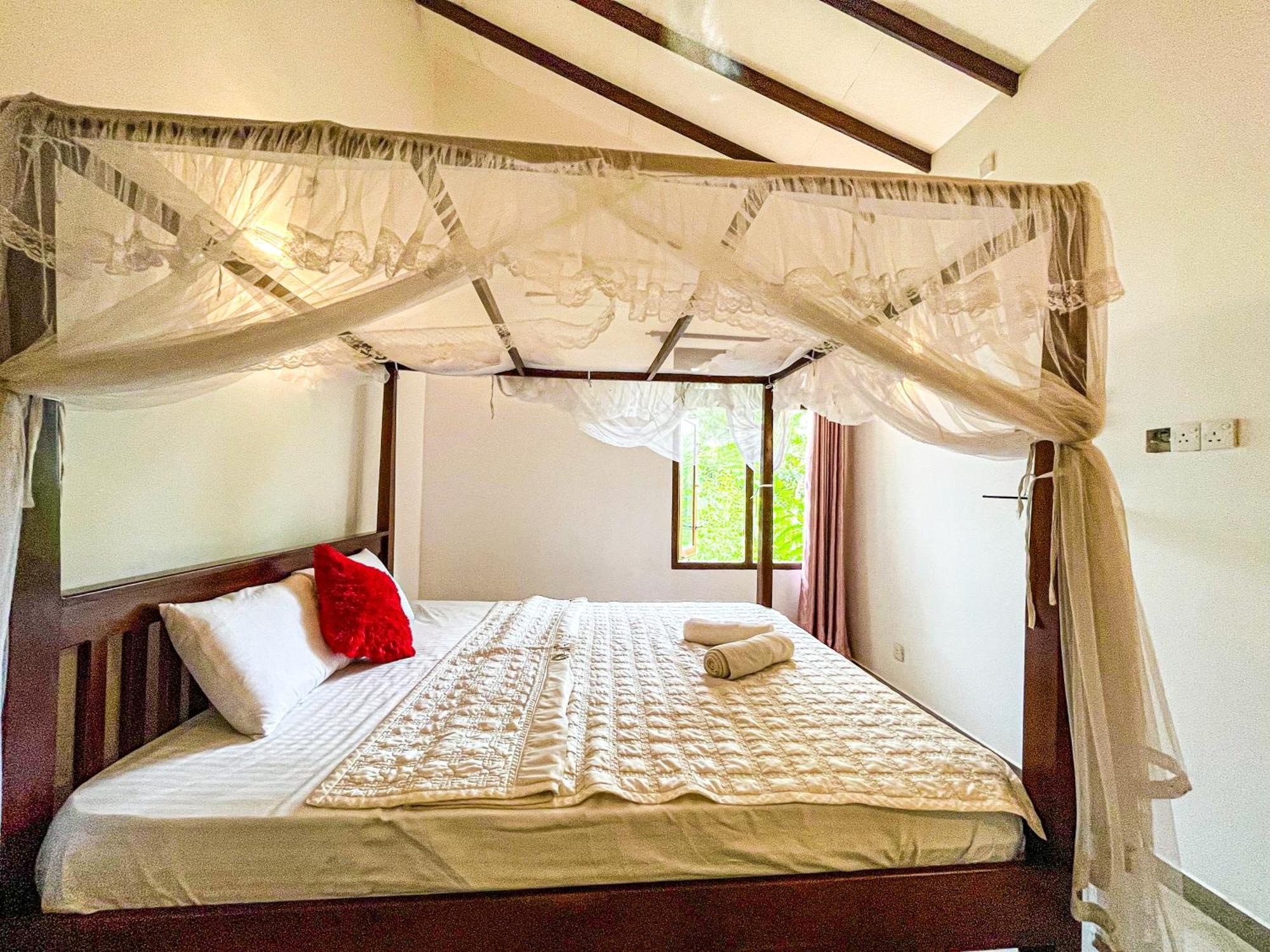 Galle Camellia Dış mekan fotoğraf